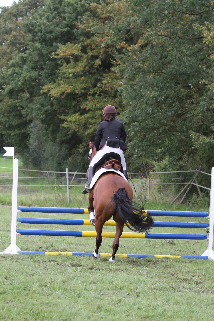 Bild 1346 - WBO-Turnier am 18.9.11